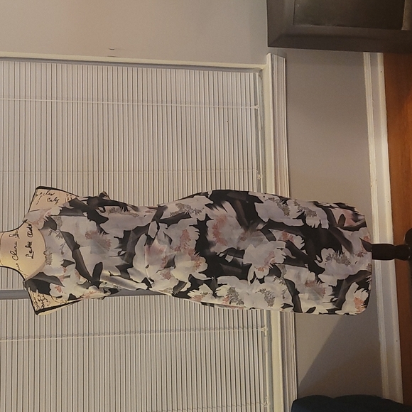 bar iii XL Black/Pink/White Gray Zippered back dress - Picture 2 of 9